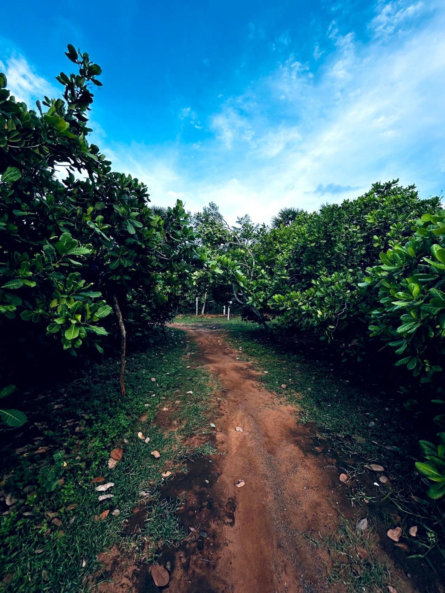 Boomerang Community Auroville Kültér fotó