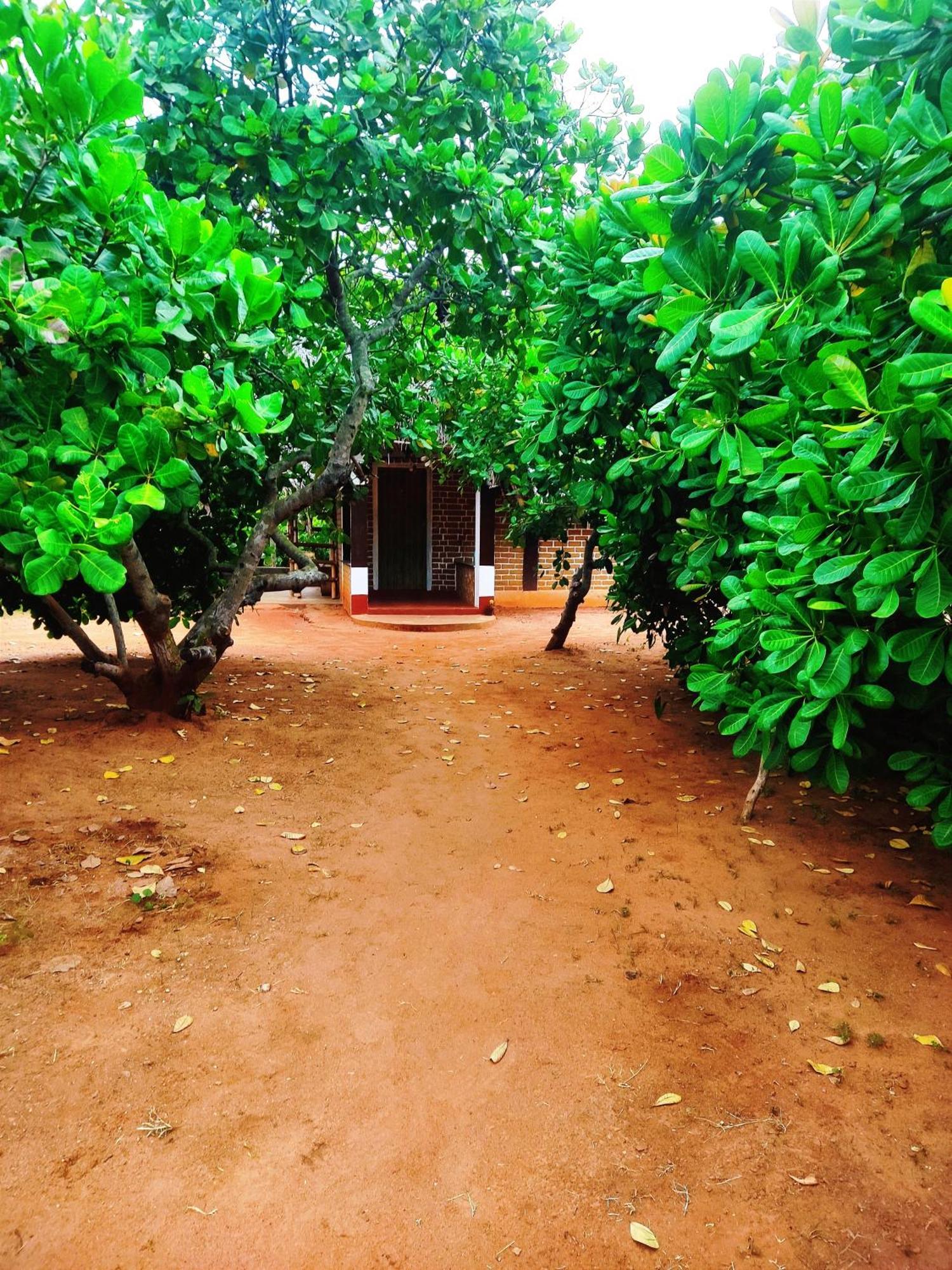 Boomerang Community Auroville Kültér fotó