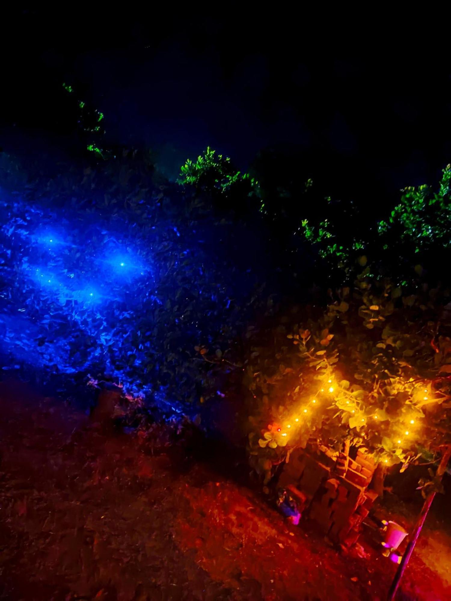 Boomerang Community Auroville Kültér fotó