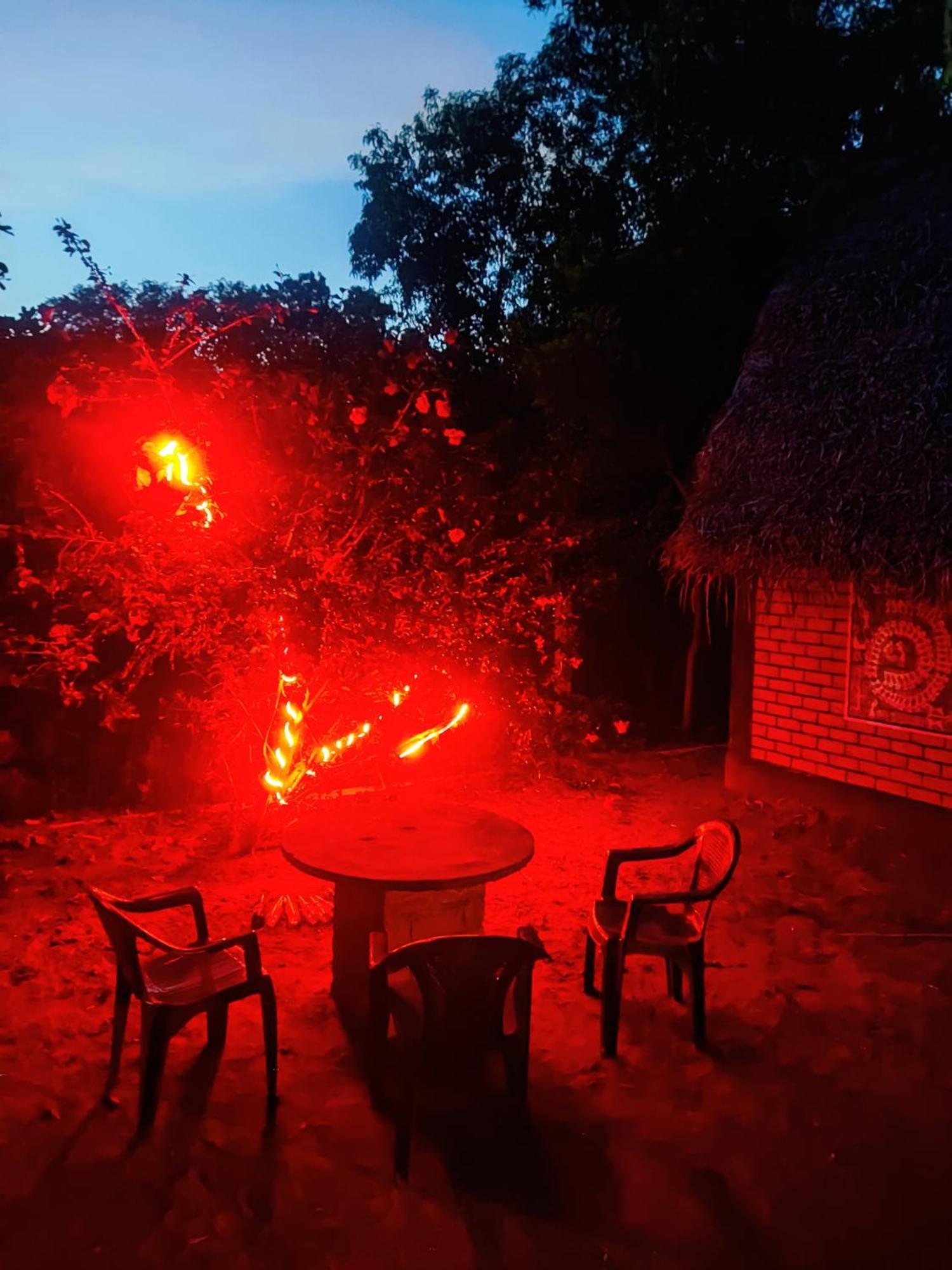 Boomerang Community Auroville Kültér fotó