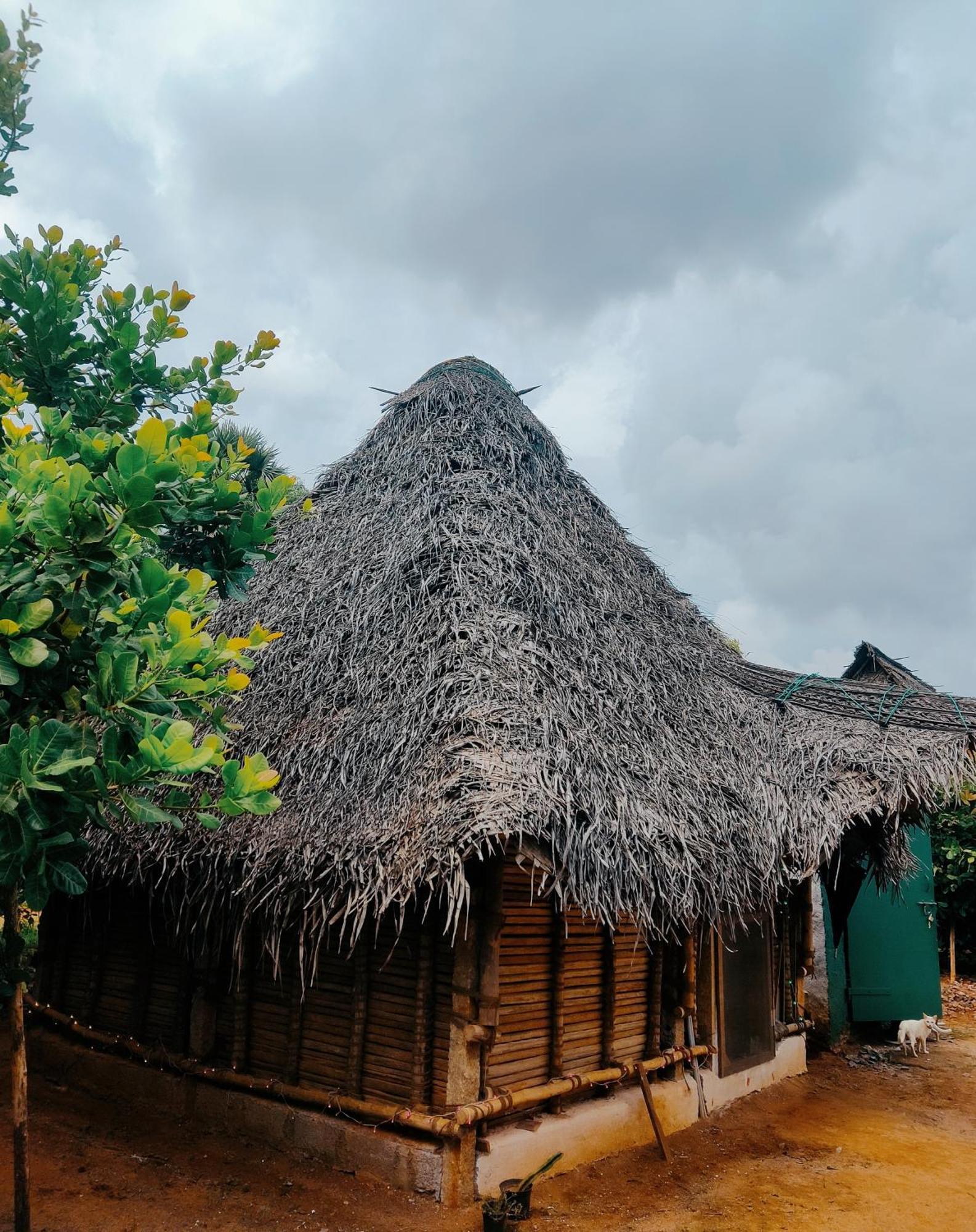 Boomerang Community Auroville Kültér fotó